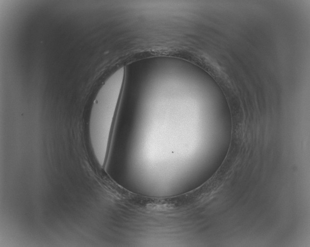 X0000073700689200608031015