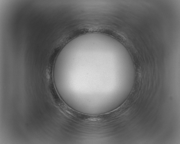 X0000073700691200608031015