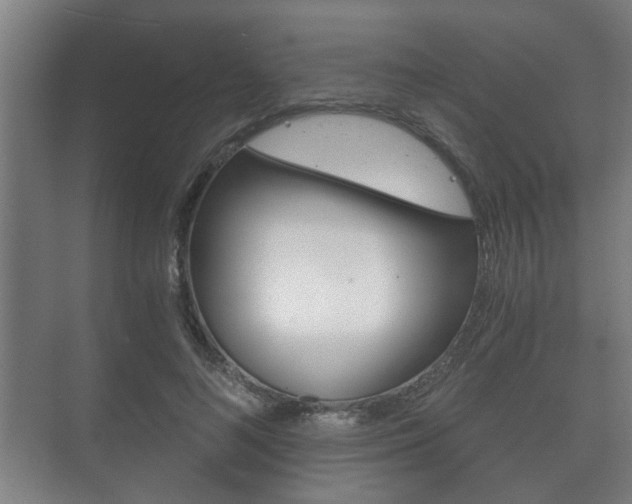 X0000073700692200608031015