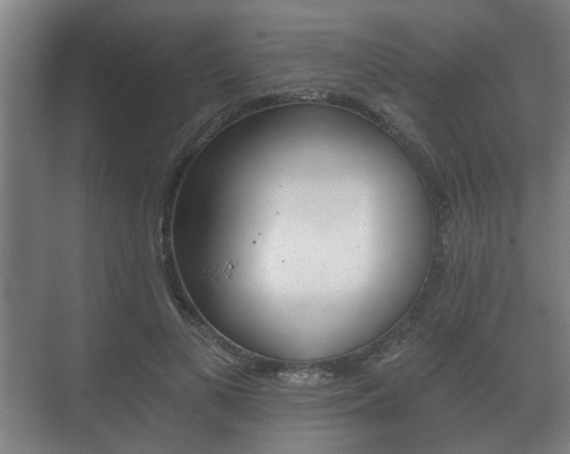 X0000073700693200608031015