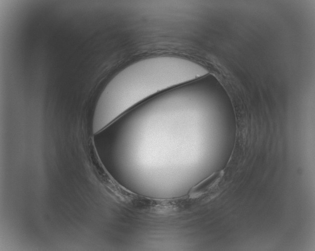 X0000073700696200608031015