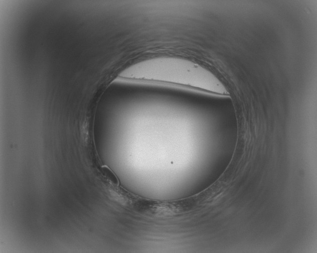 X0000073700697200608031015