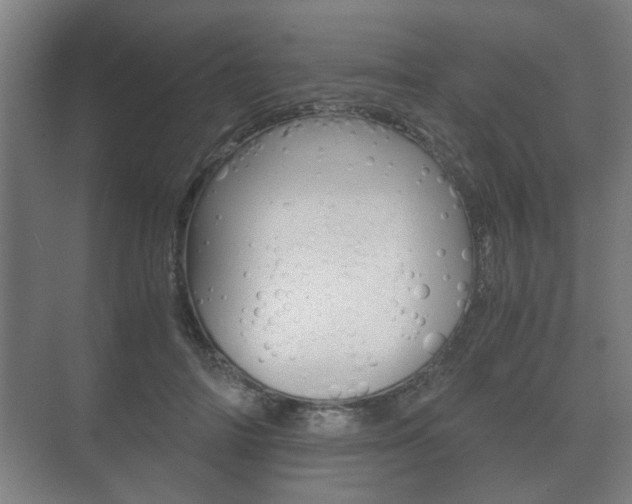 X0000073700698200608031015