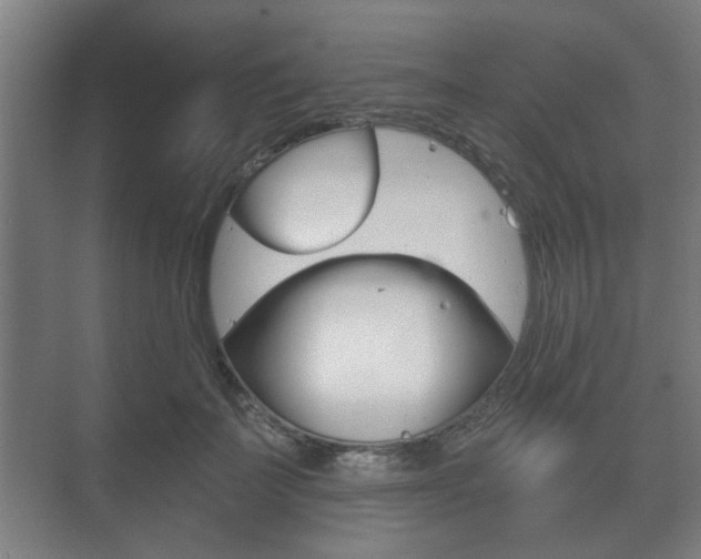 X0000073700699200608031015