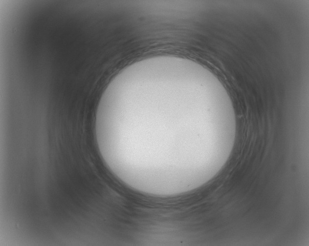 X0000073700701200608031015