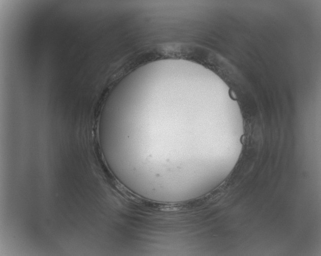 X0000073700702200608031015