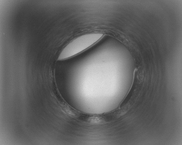 X0000073700704200608031015