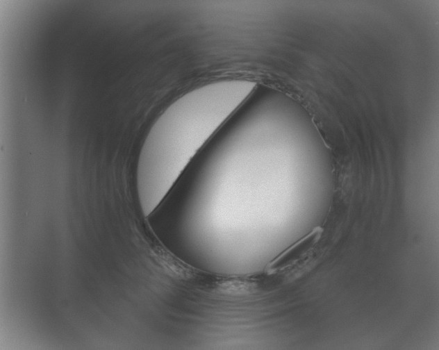 X0000073700708200608031015