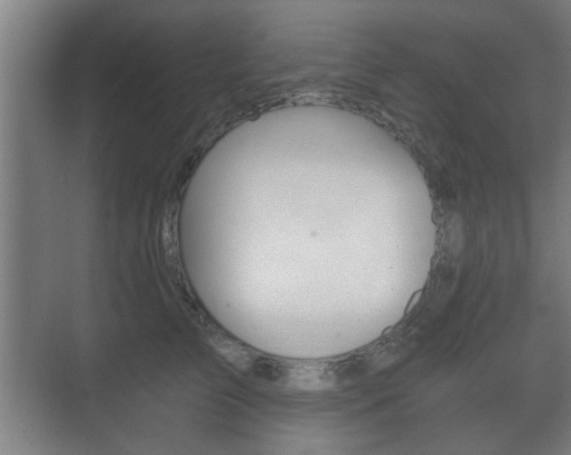 X0000073700709200608031015