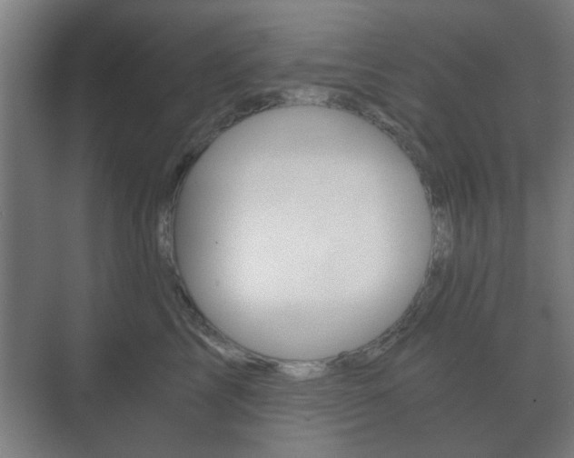 X0000073700713200608031015