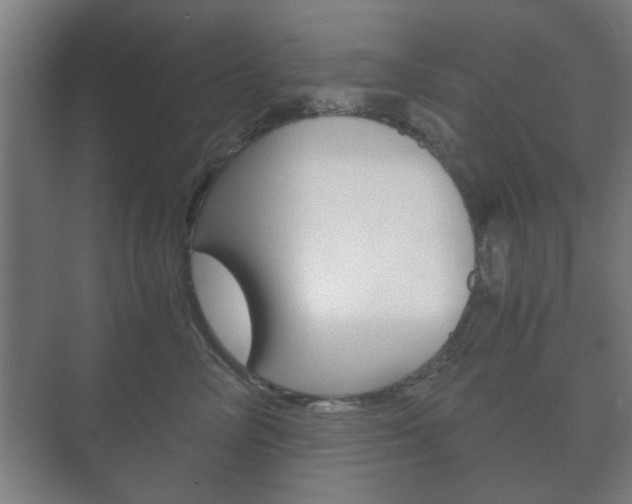 X0000073700714200608031014