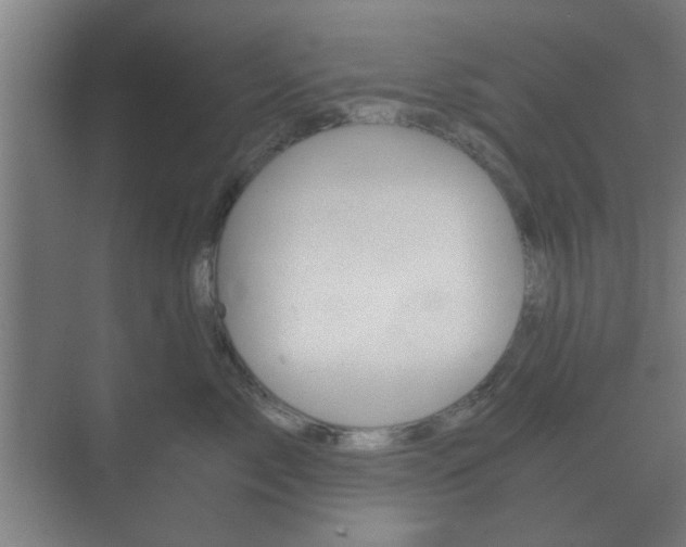 X0000073700717200608031014