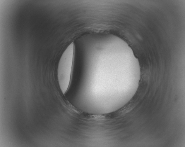 X0000073700719200608031014