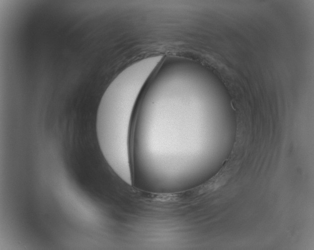 X0000073700720200608031014