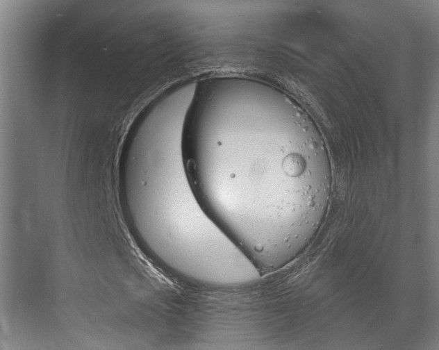 X0000073700721200608031014