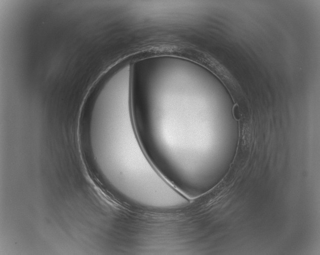 X0000073700722200608031014