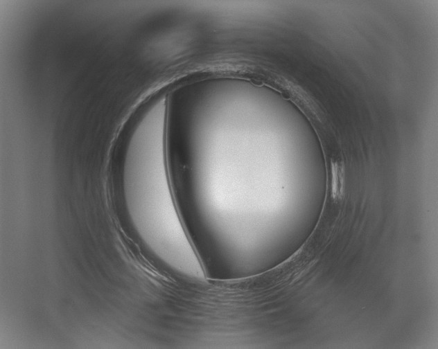 X0000073700723200608031014