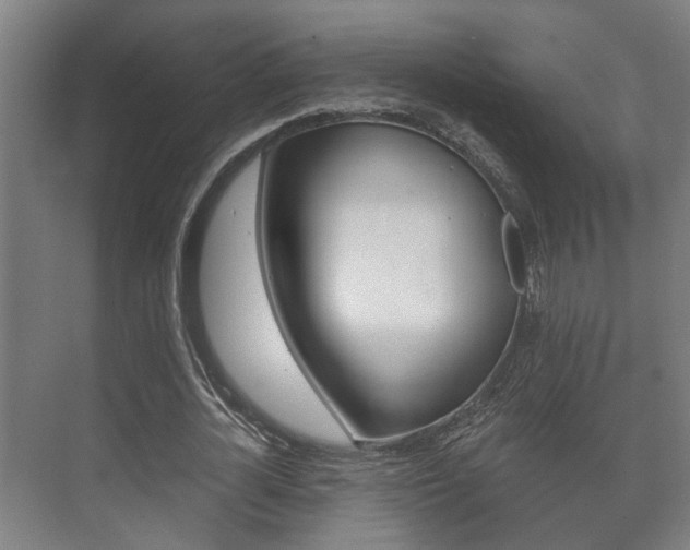 X0000073700724200608031014