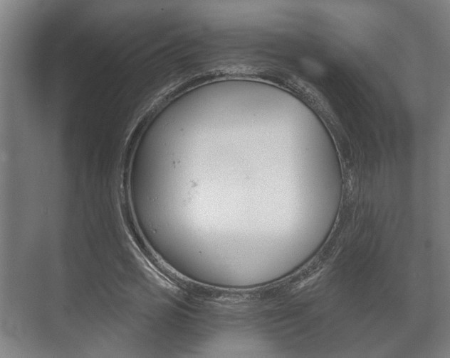 X0000073700725200608031014