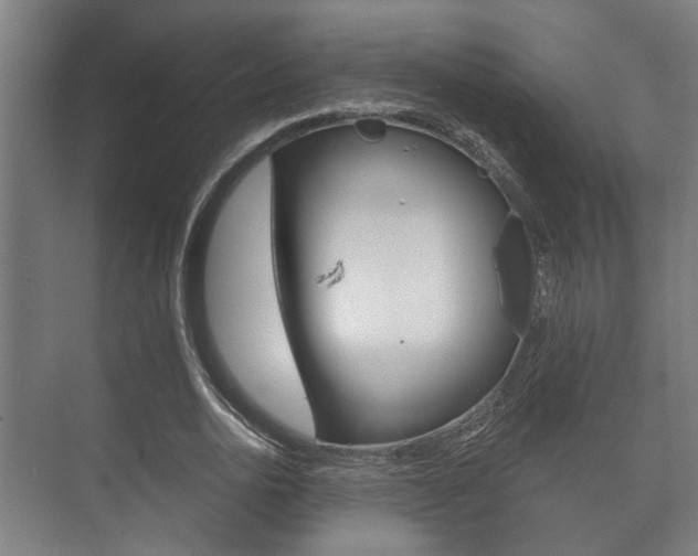 X0000073700726200608031014