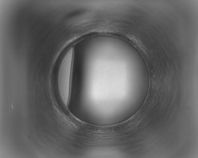 X0000073700727200608031014