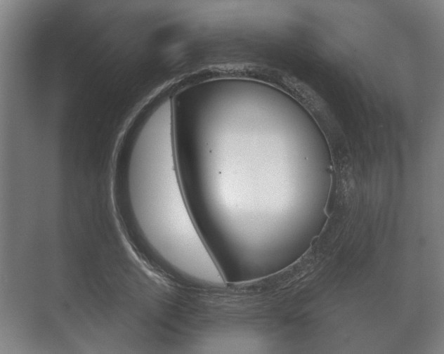 X0000073700728200608031014