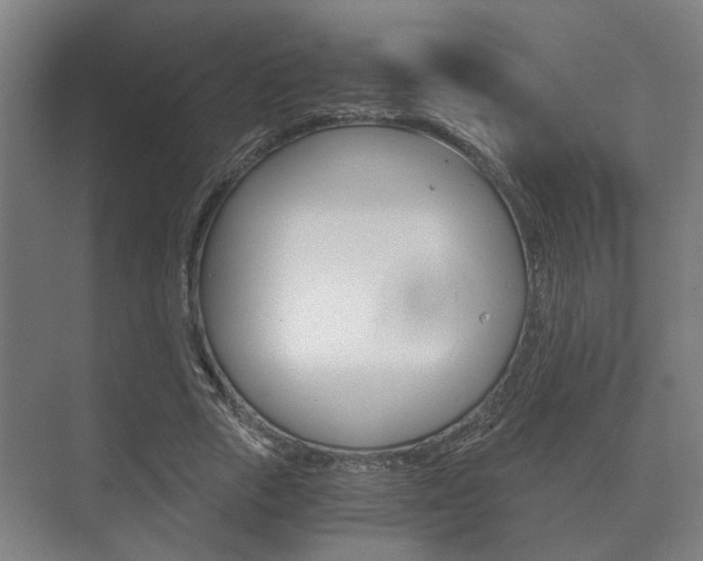 X0000073700729200608031014