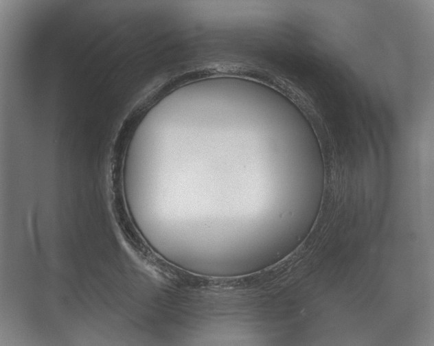 X0000073700730200608031014