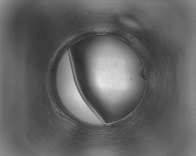 X0000073700731200608031014