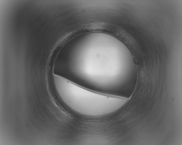 X0000073700732200608031014