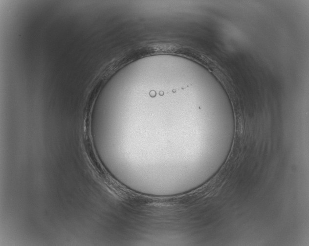 X0000073700733200608031014