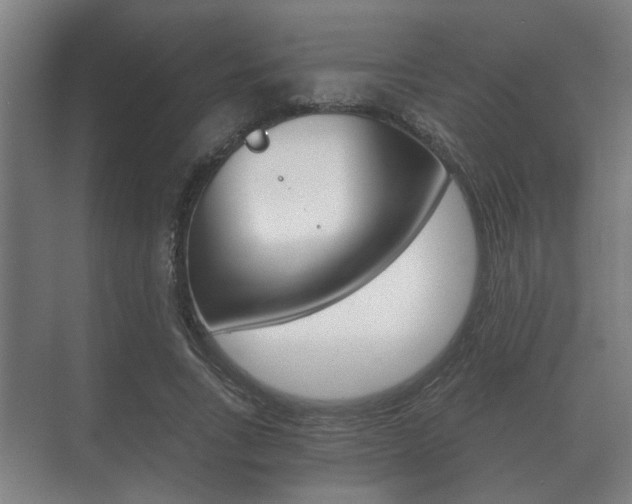 X0000073700735200608031014