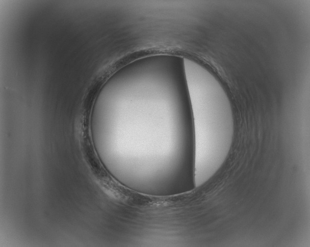 X0000073700736200608031014