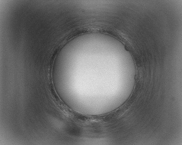 X0000073700737200608031014