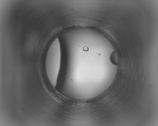 X0000073700738200608031014