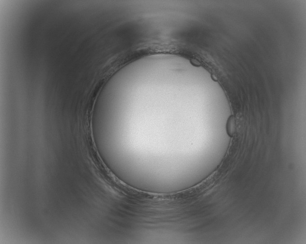 X0000073700741200608031014