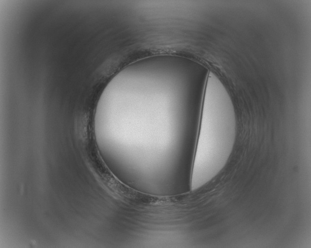 X0000073700742200608031014