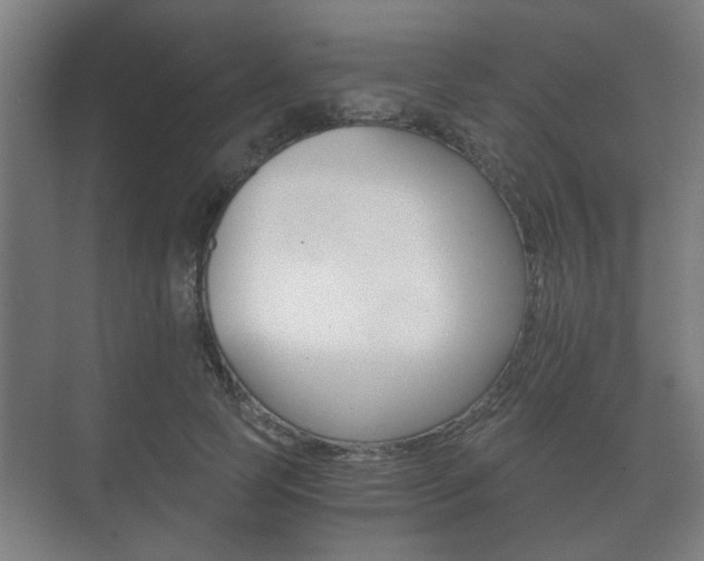 X0000073700745200608031014