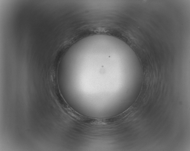 X0000073700747200608031014