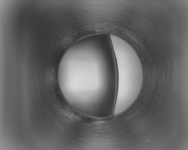 X0000073700748200608031014