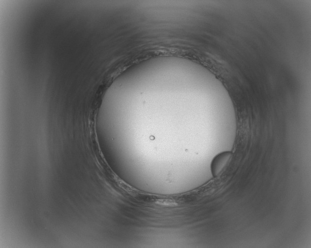 X0000073700749200608031014