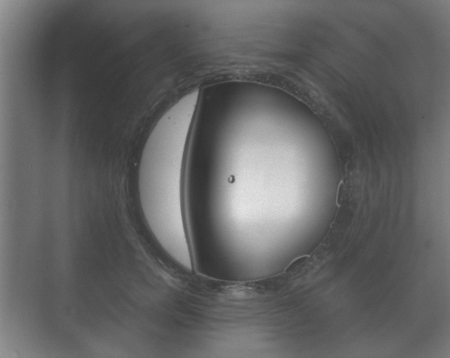 X0000073700750200608031014