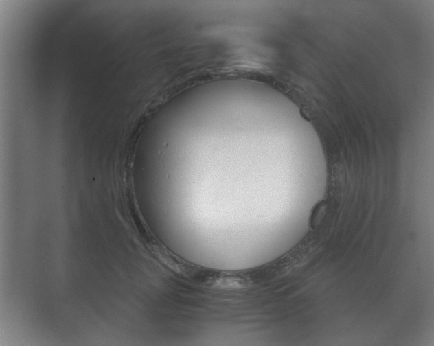 X0000073700751200608031014