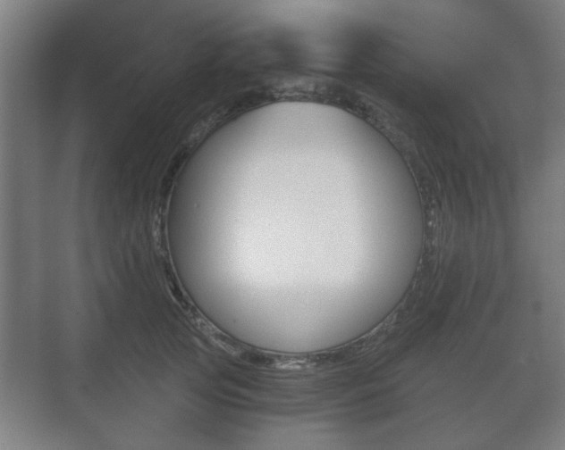 X0000073700753200608031014