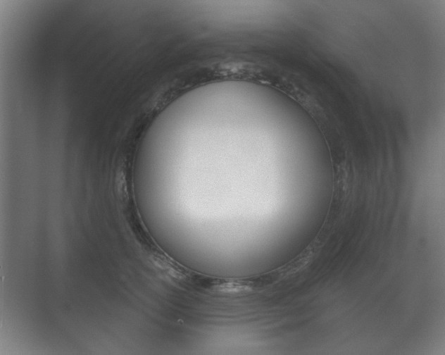 X0000073700754200608031014