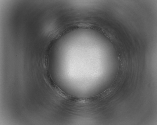 X0000073700755200608031014