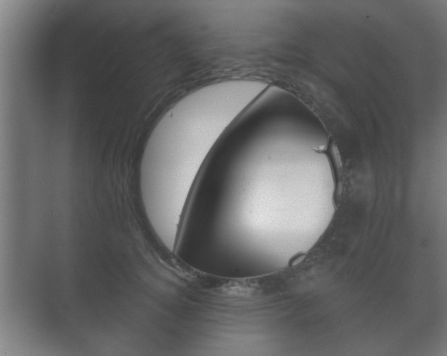 X0000073700756200608031014