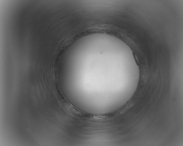 X0000073700758200608031014