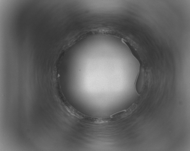 X0000073700760200608031014