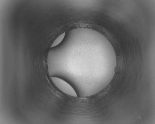 X0000073700761200608031014